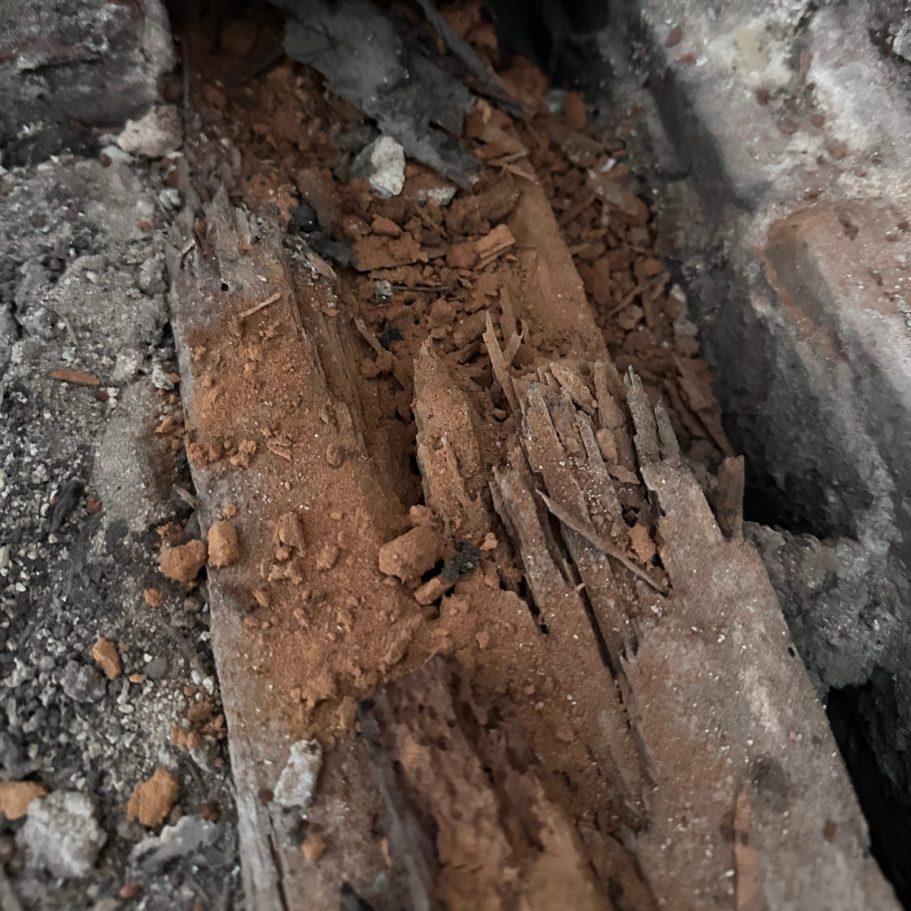 Holz- und Bautenschutz Durch nassfäule geschädigter Deckenbalken